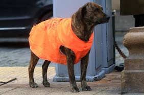 La lluvia podría alcanzar Santiago: anuncian la llegada de un sistema frontal a la Región Metropolitana