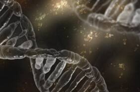 Personas de 100 años tienen el llamado gen de la longevidad: ahora descubren cómo podría activarse