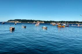 Seremi de Salud de Biobío confirma brote de Covid-19 en Isla Quiriquina: 61 casos positivos en su mayoría son grumetes de la Armada