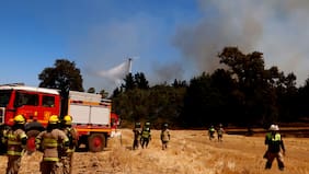 Muere comandante de Bomberos de Litueche mientras combatía incendio forestal