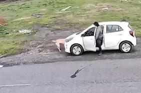Maltrato animal en Los Ángeles: hombre se bajó de un auto para golpear a un perro con herramienta