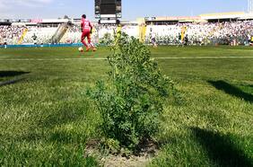 Colo Colo pide auxilio