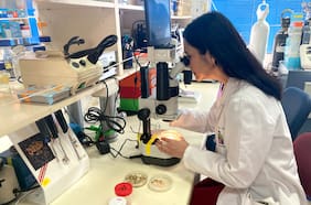 Columna de Opinión de Christian González-Billault: “Los países investigan no porque son desarrollados. Son desarrollados porque investigan”