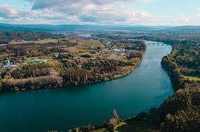 La “esponja” que actuó como escudo natural para Valdivia durante el reciente temporal, según especialistas