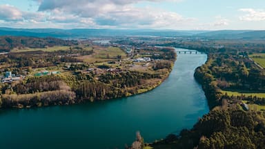 La “esponja” que actuó como escudo natural para Valdivia durante el reciente temporal, según especialistas