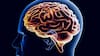 Estos son los trastornos que están relacionados con un envejecimiento cerebral más rápido, según un estudio