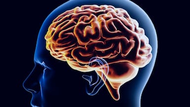Estos son los trastornos que están relacionados con un envejecimiento cerebral más rápido, según un estudio