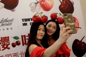 Exportadores ponen fichas en la temporada de cerezas y prevén récord de envíos