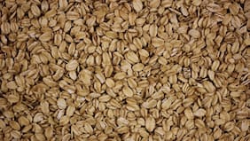 El alimento que pudo reducir los niveles de colesterol “malo” durante un estudio