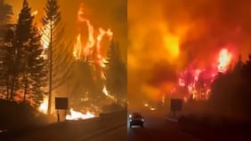 Las dramáticas imágenes que dejan los incendios forestales en la Patagonia argentina