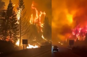 Las dramáticas imágenes que dejan los incendios forestales en la Patagonia argentina