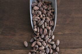 Nueva tienda Planta maestra