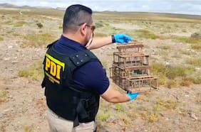Detienen a sujeto que estaba capturando aves protegidas en pleno desierto florido