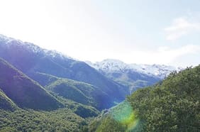 Columna de Jerónimo Correa Braun: La escondida oportunidad de inversión en la biodiversidad del suelo