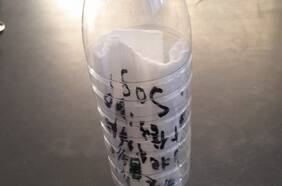 Esto es lo que encontraron las autoridades en un buque desde el que lanzaron una botella pidiendo ayuda