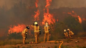 Altas temperaturas en la zona central: once incendios están activos y tres continúan en combate