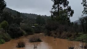 Buscan a trabajador contratista de CGE desaparecido tras desborde de estero en Curepto