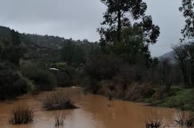 Buscan a trabajador contratista de CGE desaparecido tras desborde de estero en Curepto