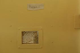 “Si eres un preso de alto perfil, estás en riesgo”: las inéditas imágenes de la celda que se construyó para Oscar Pistorius