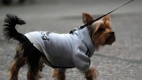 Anuncian lluvia y tormentas eléctricas para la Región Metropolitana: cuándo vuelven las precipitaciones a Santiago