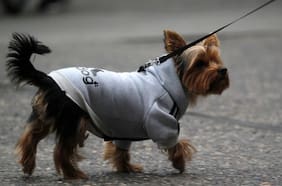 Anuncian lluvia y tormentas eléctricas para la Región Metropolitana: cuándo vuelven las precipitaciones a Santiago