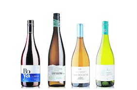 Cuatro vinos ideales para probar en verano