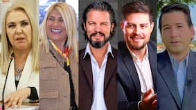 “Dr. File”, Pamela Jiles y la hermana de Parisi: quiénes son los 14 diputados del Partido de la Gente