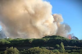 Llaman a evacuar sector de Castro por incendio forestal: emergencia deja a un bombero lesionado