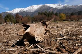 Una mirada de las empresas en Chile al último informe del IPCC