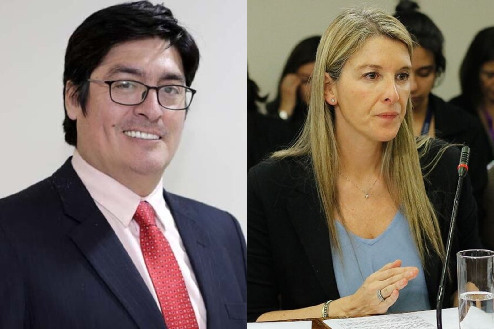 Gobierno defiende ante comisión de Cultura del Senado los nombres de Sabat y Huichalaf para integrar el directorio de TVN