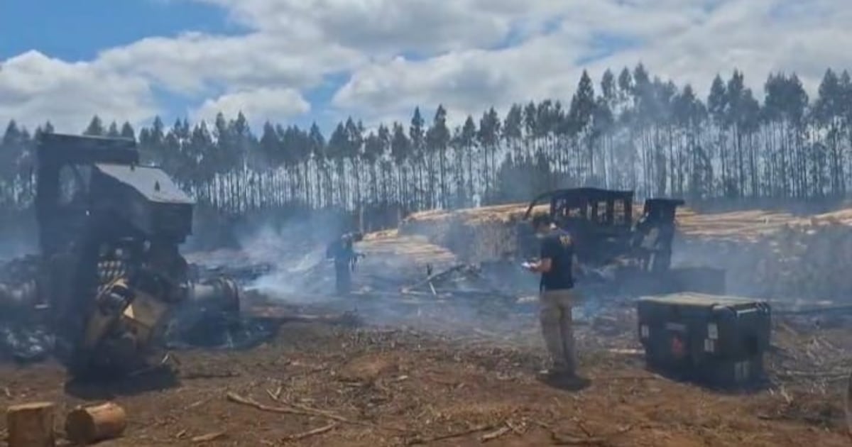 Reactivación de la violencia en La Araucanía: Condenas a la WAM y la escalada de ataques incendiarios