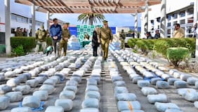 Alrededor de 45 toneladas de droga han sido decomisadas en lo que va del 2026