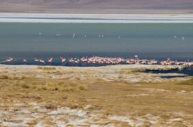 “Necesitamos realizar una evaluación nacional para conocer el estado de la biodiversidad y ecosistemas del país”