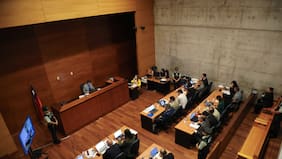 Formalizan por fraude al fisco consumado a Alberto Larraín y a otras cuatro personas en el caso ProCultura