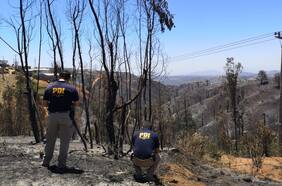 Gremios de la madera alertan por escaso avance de la Ley de Incendios