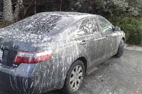¡Que no se pudra! ¿Cómo saco la caca de pájaros de mi auto?
