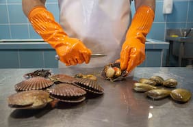 Marina Mar de Tapas: Una buena pasada