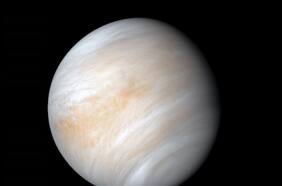 Descubren posibles indicios de vida en Venus