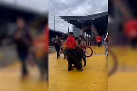 EFE respalda a guardia que le quitó bicicleta a pasajera en Biotren tras indignación por video viral