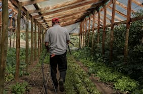 Gobierno entrega nuevos bonos a agricultores afectados por lluvias en la Región del Maule