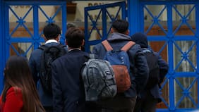 Se publica ley que permite detectores de metales en colegios: deberán pasar por aprobación de Mineduc y Seguridad