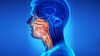 Qué es el cáncer de cabeza y cuello, cuáles son sus síntomas y cómo prevenir