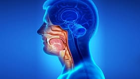 Qué es el cáncer de cabeza y cuello, cuáles son sus síntomas y cómo prevenir