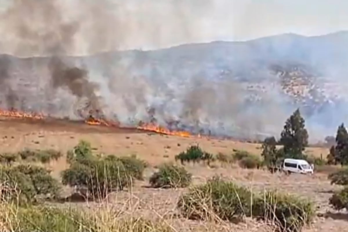 Detenido el presunto autor del incendio forestal que azotó San Pedro de Melipilla
