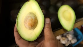 Comité de Paltas cambia su nombre y abre nueva etapa de desarrollo