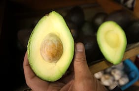 El gran momento de la palta: producción de esta temporada sería similar a la anterior, cuando marcó un récord en 15 años