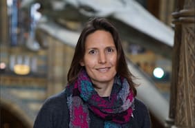 Helen Czerski: “El Niño es el mayor problema para Chile y deberían preocuparse”