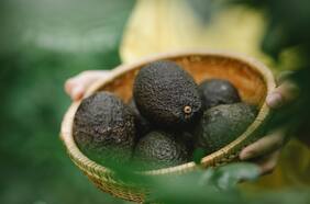 Científicos descubren qué pasa con las personas que comen palta todos los días