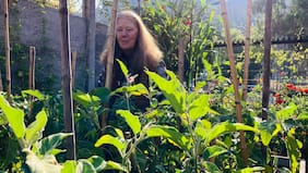 Con charlas, talleres y música en vivo: Santiago Ecofest, el evento que busca destacar la importancia del medioambiente