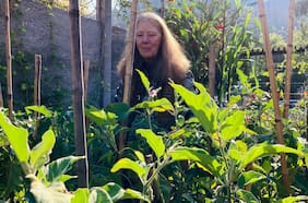 Con charlas, talleres y música en vivo: Santiago Ecofest, el evento que busca destacar la importancia del medioambiente